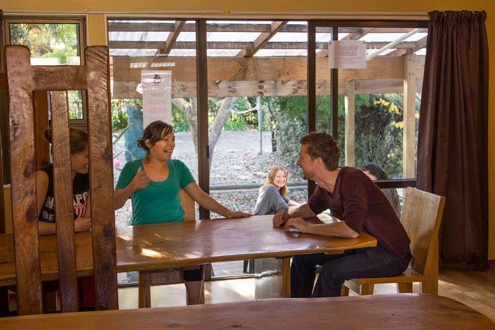 Paradiso Backpackers Нельсон Екстер'єр фото